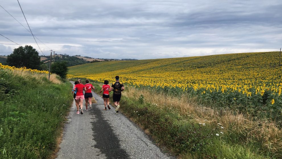 Retour sur l’été sportif des Fort’iches !